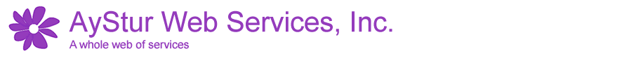 AyStur Web Services, Inc.